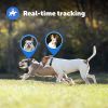 PetSafe Guardian GPS + Tracking Dog Fence Collar – Wireless Dog Fence with Real