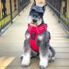 Venture Paw Pull Control Dog Harness