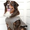 Alpine Tuf Terrain Dog Coat